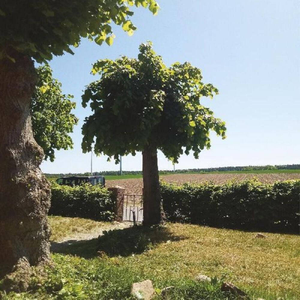 Sigtryggur Berg Sigmarsson - Into The Second Half  LP LP